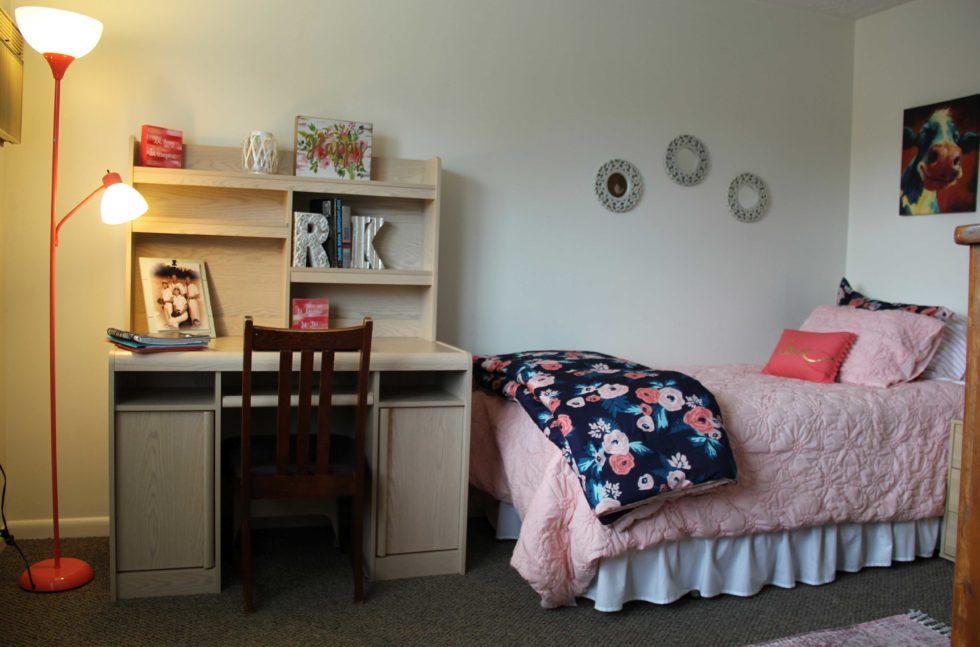 one bedroom rentals